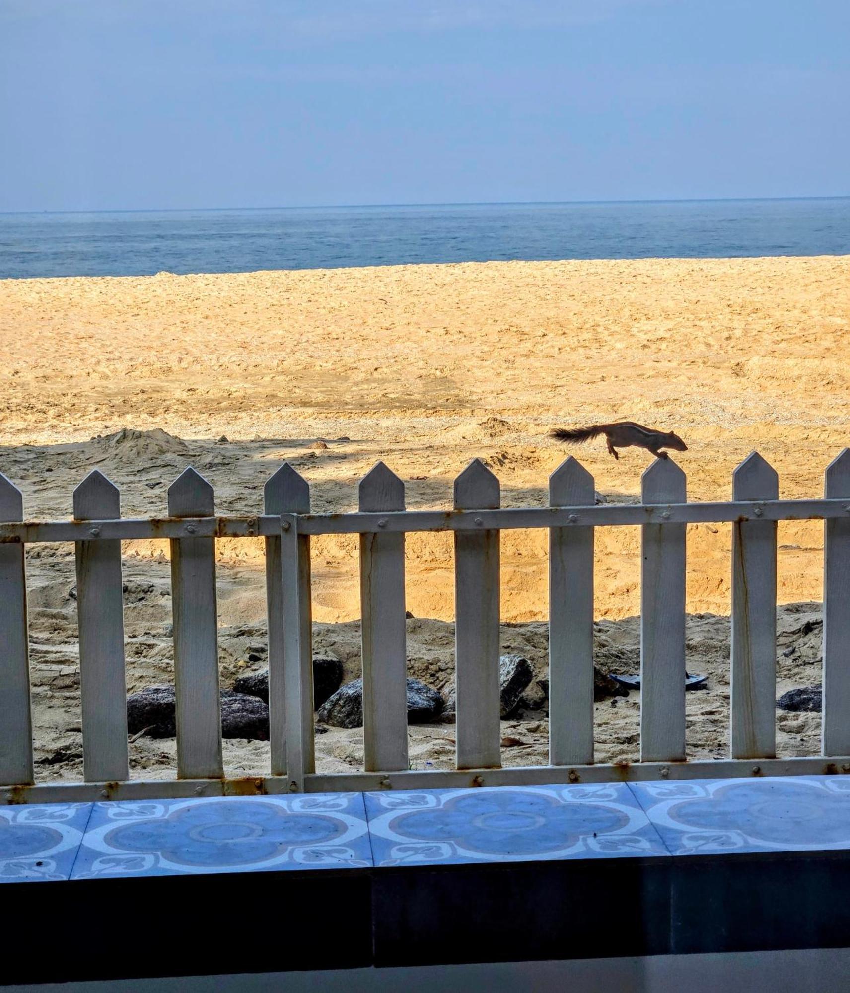Ether Marari Beachfront Mararikulam Exterior foto